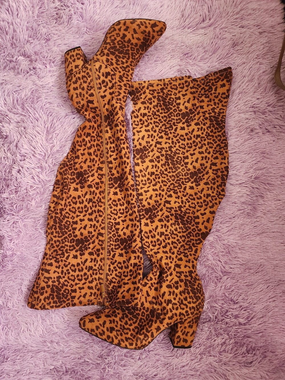New! 13W [Torrid] 3.5" OTK Thick Calf Thigh High Leopard Boots Rawr!